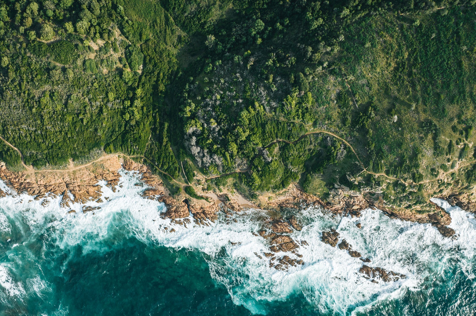 Sustainable growth & reducing climate impact
